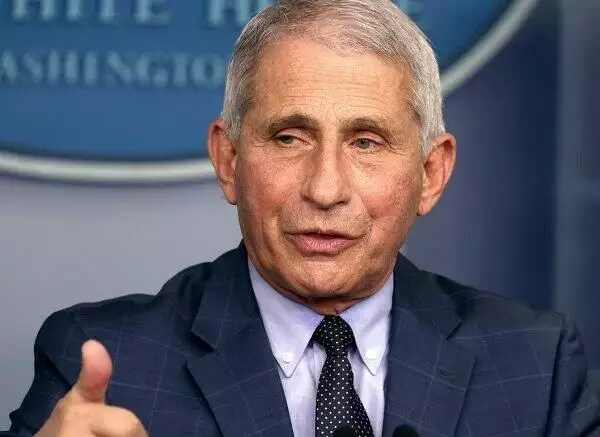 anthony fauci speaks at press conference