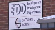 Users report EDD website outage, can't log in to accounts