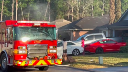 Homeowner pulled from burning home after going back in to save dogs