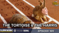 WATCH: The Tortoise and the Harris